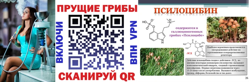 Псилоцибиновые грибы Psilocybe  Липецк 